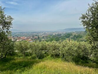Val di Nievole (Tal des Nebels)