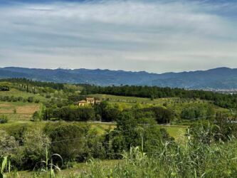 Frühling und Winter