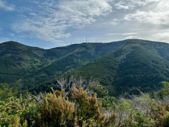 Monte Serra (917 m Höhe)