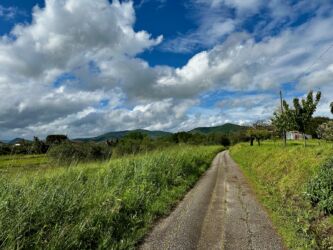 Die Sonne zeigt sich
