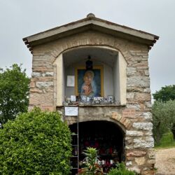 Maestà di Mascicone