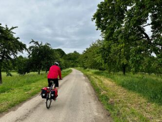 Durch die Kirschbäume