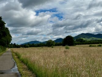 Schwarzwald bei Bühl