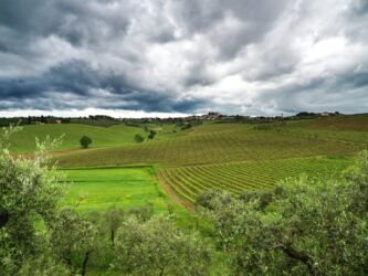 Blick nach Cerreto Guidi