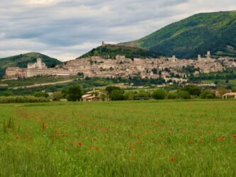 Blick auf Assisi