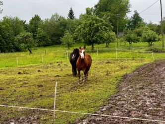 Vierundzwanzig Höfe - Romishorn