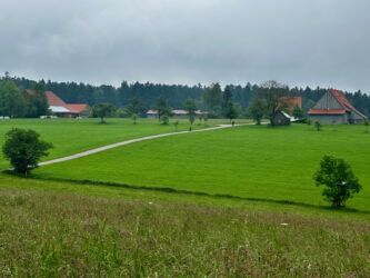 Zwei Radler auf dem Panorama-Radweg
