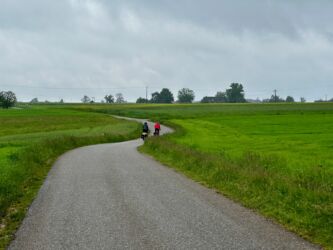 Schwarzwald-Panorama-Radweg