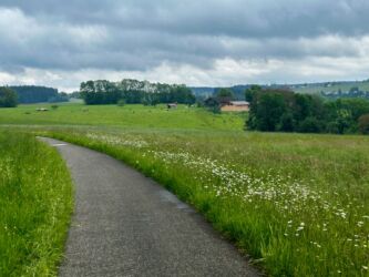 Zwischen Hutneck und Hardt