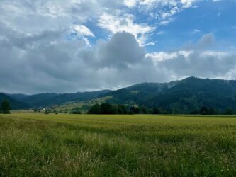 Mittlerer Schwarzwald