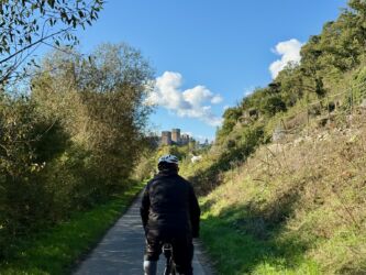 Blick auf Burg Runkel
