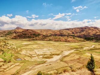 Getreide für die Brauerei in Antsirabe