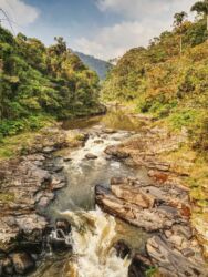 Ranomafana Nationalpark