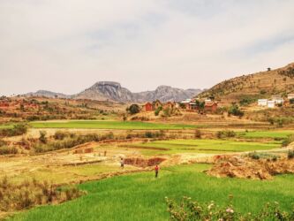 Reisfelder und Berge