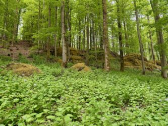 Geotop Wilde Saudeck