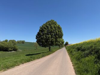 Aufstieg zum "Weißer Stein"