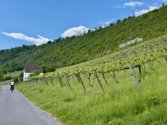 Saale-Unstrut-Wein