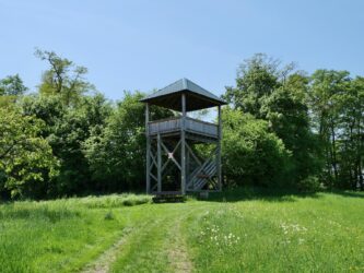 Aussichtsturm Düdesheim