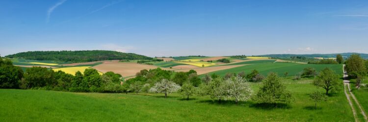 Panoramablick vom Aussichtsturm