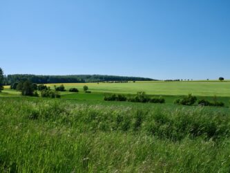 Zwischen Rittmarshausen und Nesselröden