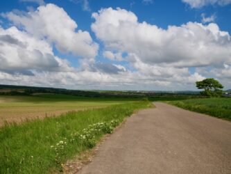 Blick zurück nach Eisleben