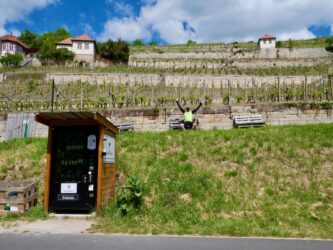 Weinautomat Weinberg Schweigenberge