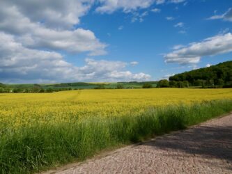 Blick von Döbritschen nach Wichmar