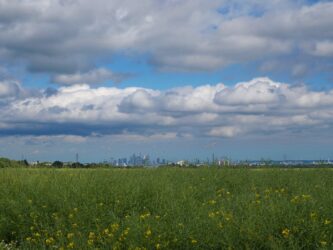 Skylineblick bei Liederbach
