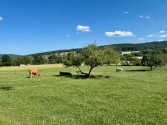Blick auf Bad Soden-Salmünster
