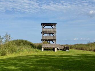 Vogelbeobachtungsturm Kolkja