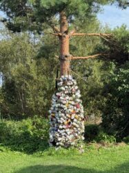 Noch alle Tassen im Schrank - Fundstücke aus dem See?