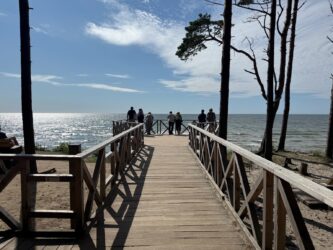 Aussichtspunkt Steilküste