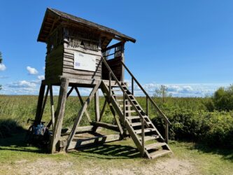 Vogelbeobachtungsturm