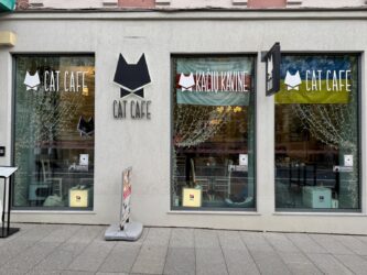 Katzencafé