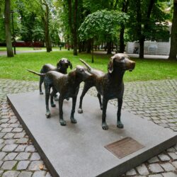 Litauische Jagdhunde