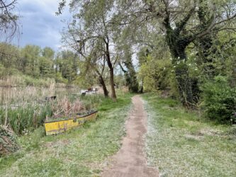 Naturbelassener Donauradweg