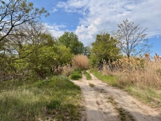 Naturbelassener Donauradweg