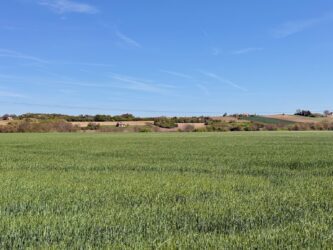 Radweg "Budapest - Balaton" - Bei Füle