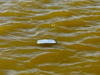 Thilos Sitzunterlage