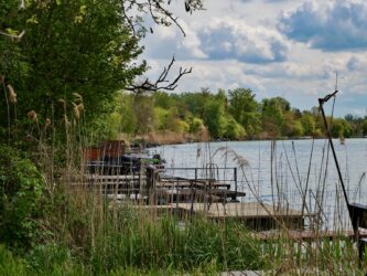 Untertitel suchen …