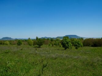 Blick auf die Hügel und den Balaton