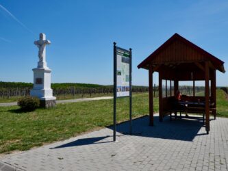 Rastplatz in den Weinbergen